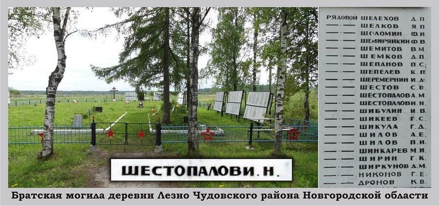 11_23.jpg