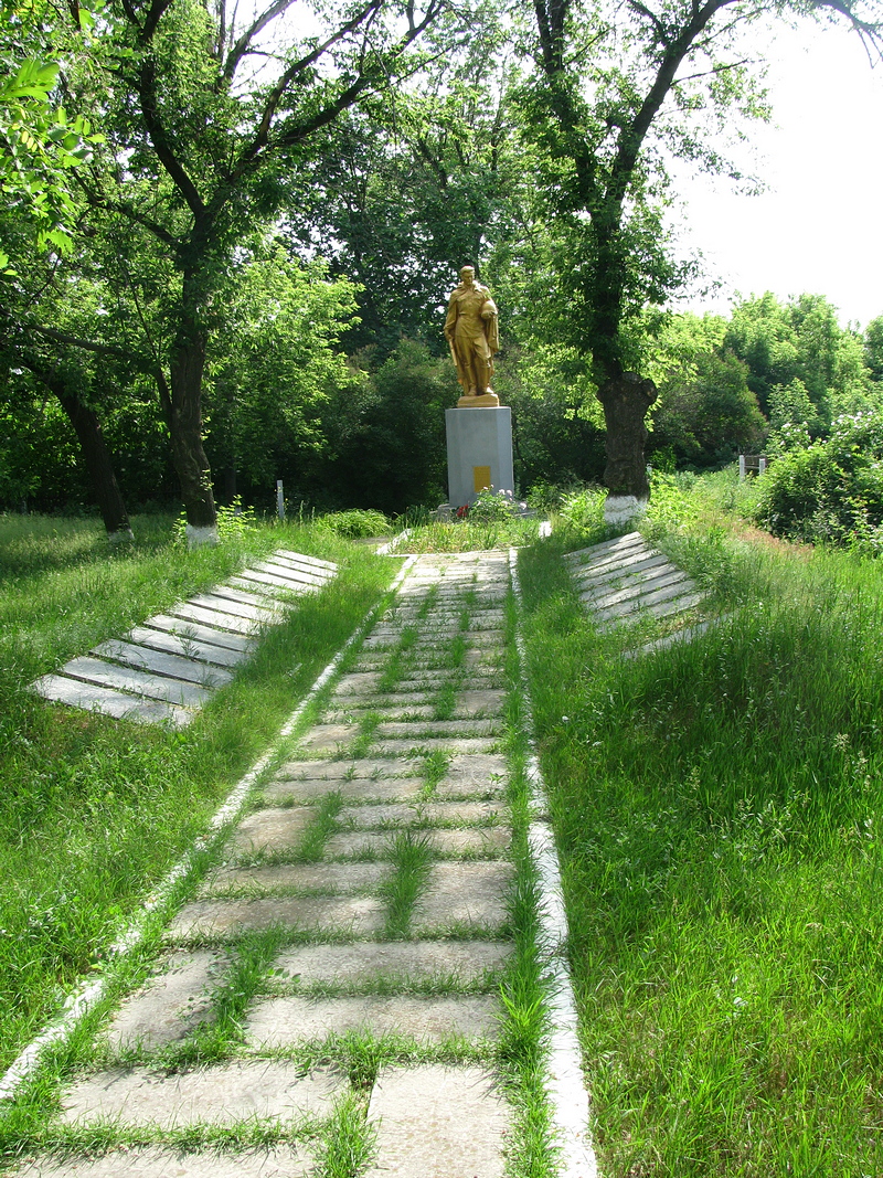 11_32.jpg