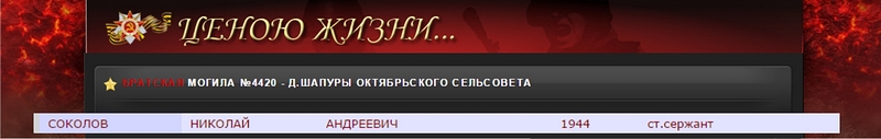 11_8.jpg