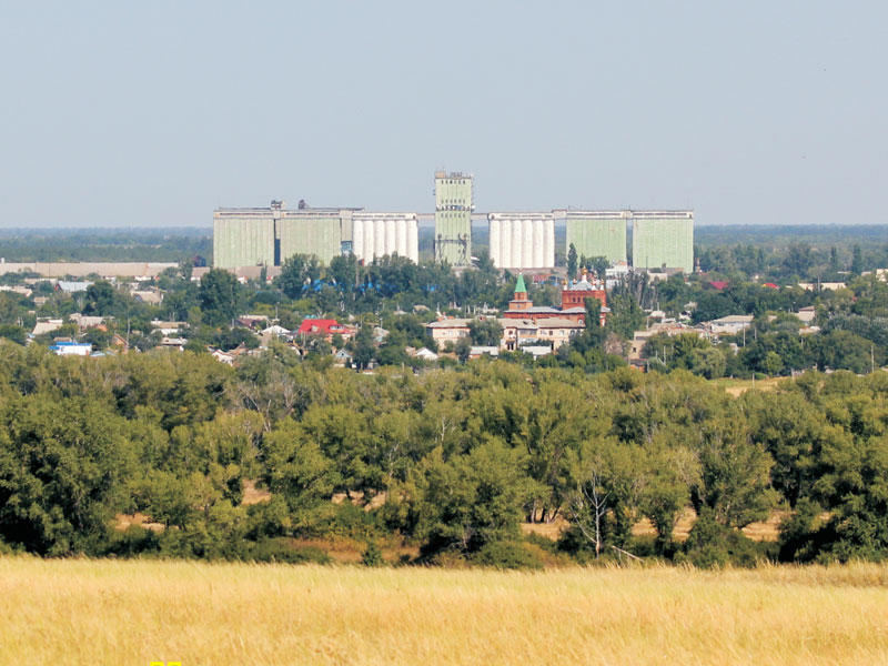 Телята Купить Сементалку Ростовская Область Станица Обливская